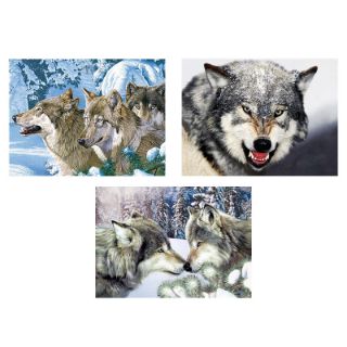 Obrázek z Obrázek 3D měnící 50x35cm - vlci (16) 